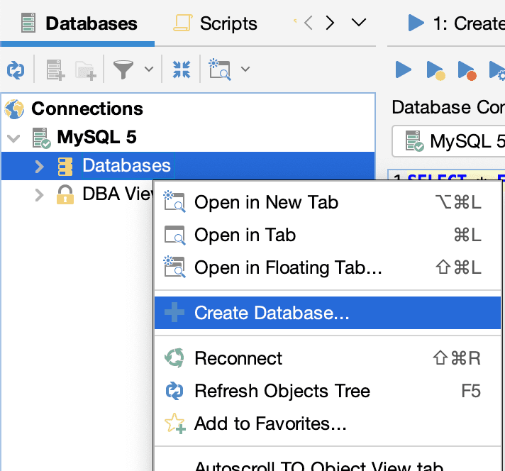 Navigating the database connections dropdown